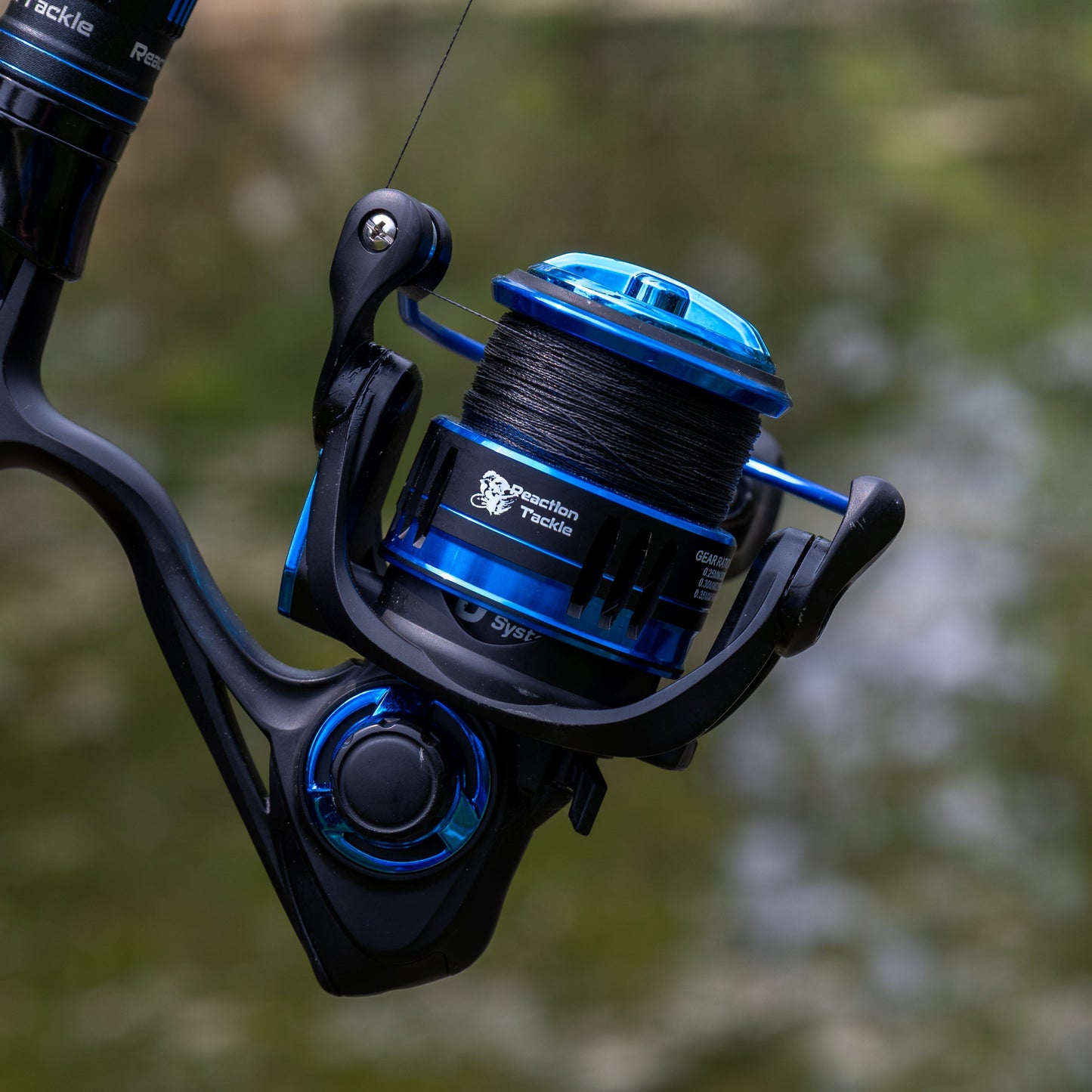 Reaction Tackle High-Performance Fishing Reels- Spinning Reel Series - NEW